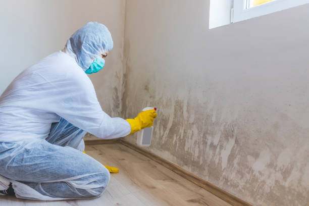 Licensed Commercial Mold Remediation service in Morris Plains, NJ - WQB Mold Removal