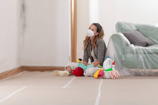 Reliable Commercial Mold Remediation contractor in Morris Plains, NJ by WQB Mold Removal